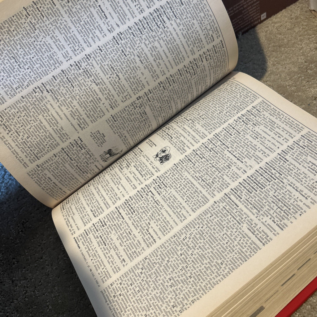 Webster's Encyclopedic Unabridged Dictionary of the English Language #1981