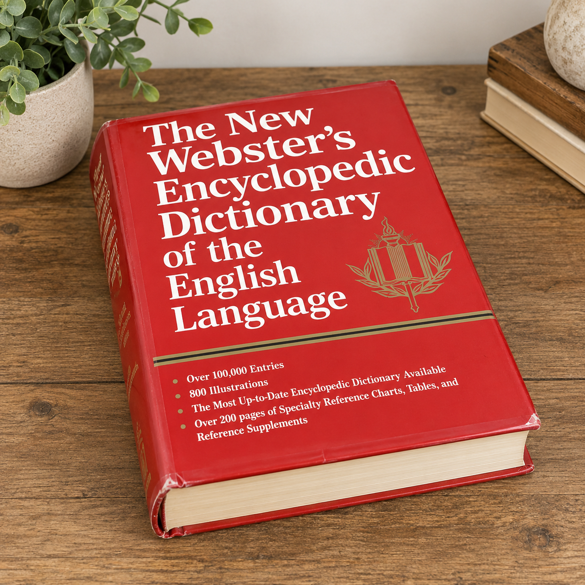 Webster's Encyclopedic Unabridged Dictionary of the English Language #1981