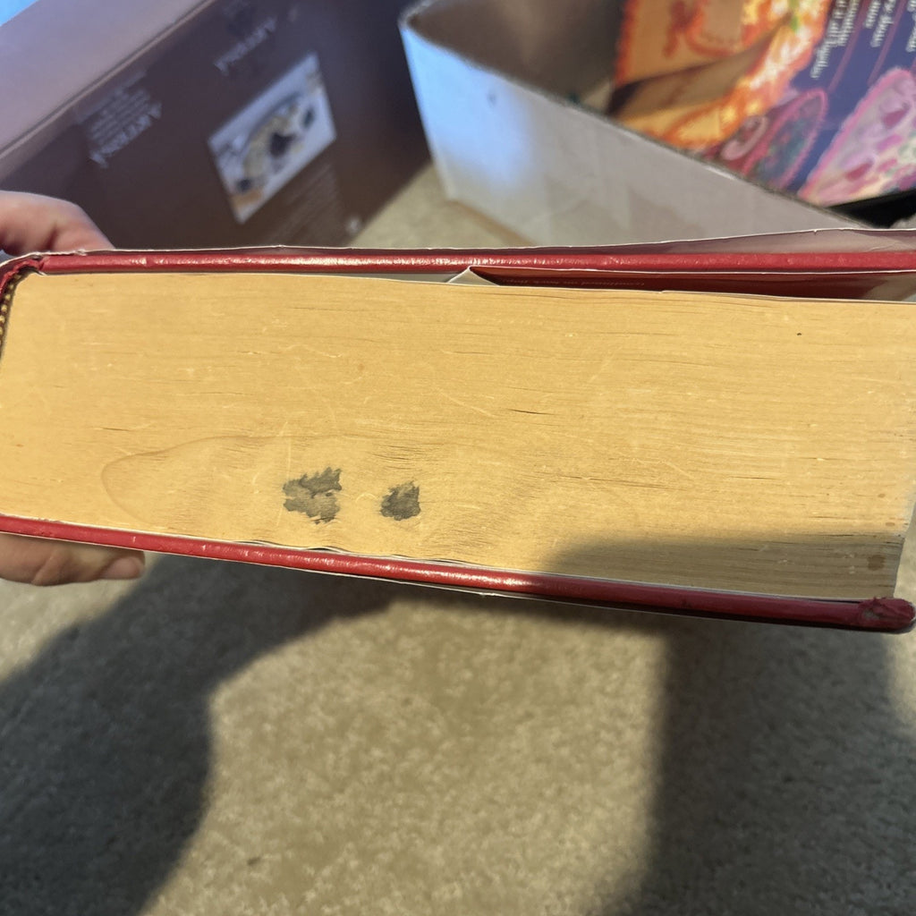 Webster's Encyclopedic Unabridged Dictionary of the English Language #1981